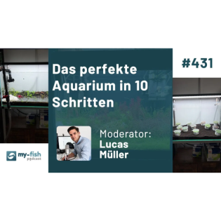 Das perfekte Aquarium in 10 Schritten – Dein ultimativer Leitfaden für erfolgreiche Aquaristik (Lucas Müller)