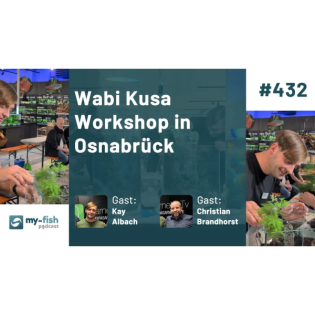 #432: Wabi Kusa Workshop in Osnabrück (Kay Albach und Christian Brandhorst)