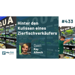 433: Hinter den Kulissen eines Zierfischverkäufers – Alltag, Verantwortung und echte Beratung im Zoofachhandel (Kay Albach)