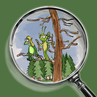 Elfenzauber: gefährliche Rettungsmission