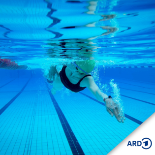 Im Wasser. Autoren erzählen vom Schwimmen