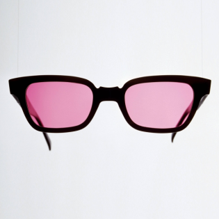 Die Verzauberung durch Rosa – Björn Vedder