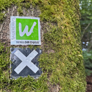 Sauerland-Waldroute ist die schönste Tour in NRW