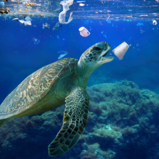 Plastik-Abkommen: "Druck war noch nie so hoch"