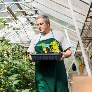 Altersgrenzen fürs Berufsleben?