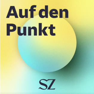 Wie es die AfD in die Regierung schaffen will