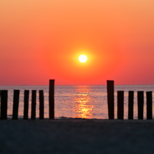 Berlin-Therapie in der Nordsee