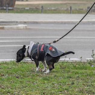 Irgendwas mit Stadtbild