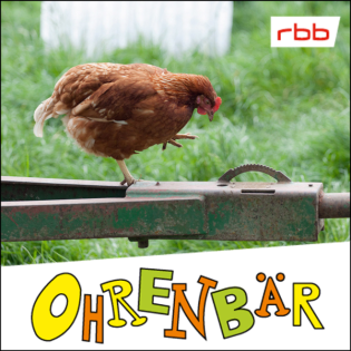 Ein Huhn auf Achse (2/3): Fahrtwind im Gefieder