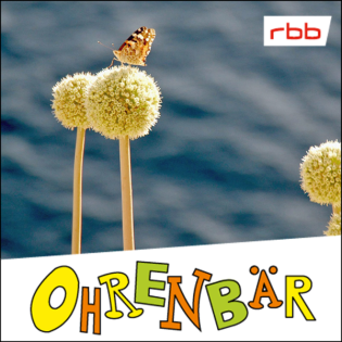 Das blumige Abenteuer des Bernard Hasenfuß (7/7): Tanz auf bunten Flügeln