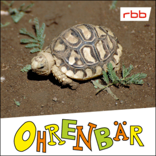 Die Tage ohne Bobby (2/7): Ein Bruder wird eifersüchtig