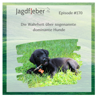 P170: Die Wahrheit über sogenannte dominante Hunde