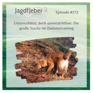 P172: Unterschätzt doch unverzichtbar: Die große Suche im Dummytraining