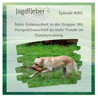 P202: Mehr Gelassenheit in der Gruppe: Mit Perspektivwechsel zu mehr Freude im Dummytraining