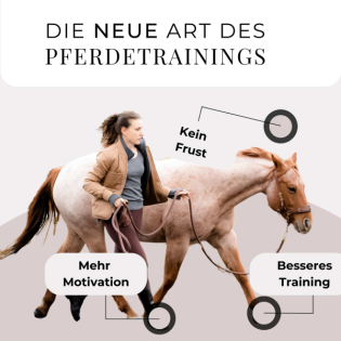 Mythos "Versammlung beim Pferd"