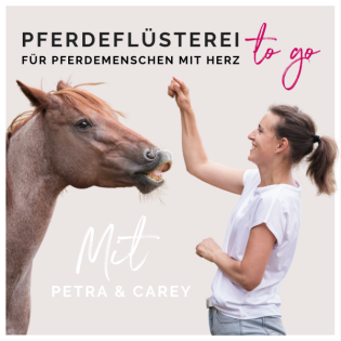 Mehr Sicherheit mit dem Pferd