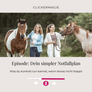3 Punkte! Dein Clicker Notfallplan