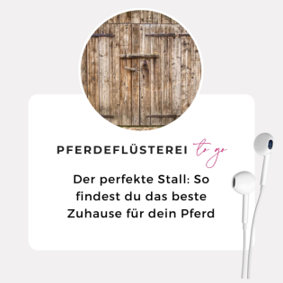 Der perfekte Stall: So findest du das beste Zuhause für dein Pferd