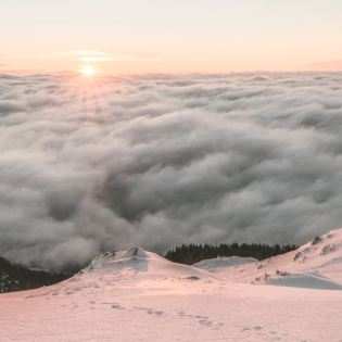 Jahresrückblick 2024 mit Marie - Anne Kannengiesser