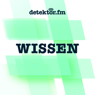 Tumordiagnostik: Was sehen Sie, Doktor KI?