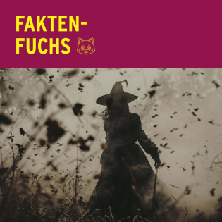 Faktenfuchs: Hexen