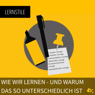 Wie wir lernen - und warum das so unterschiedlich ist