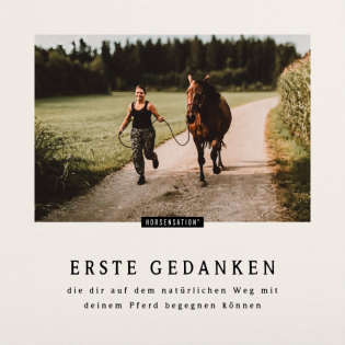 Erste Gedanken, die dir auf dem natürlichen Weg mit deinem Pferd begegnen können