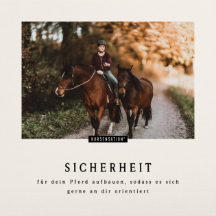 Wie du Sicherheit für dein Pferd aufbaust, damit es sich gerne an dir orientiert