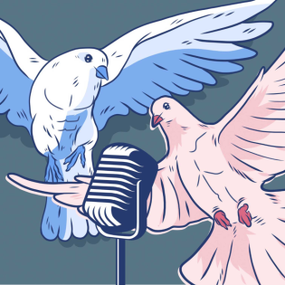 weihnachtliche träume, äh… tauben mit andré - BBT 8