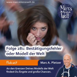 Bestätigungsfehler oder Modell der Welt (281)