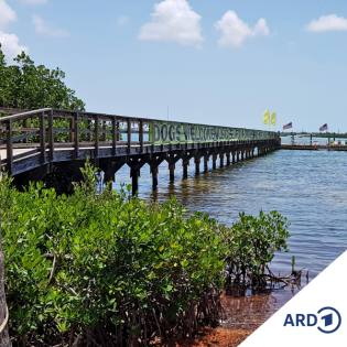 Florida - mal etwas anders