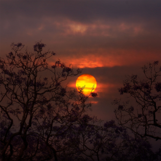 Shorts - even - selbst wenn...