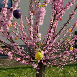 #94 Wie Du mit „Giraffensprache“ positiv kommunizieren kannst