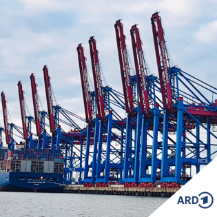 Hafenreport: A26-Ost, Forschung, Fisch und 50 Jahre Theaterschiff