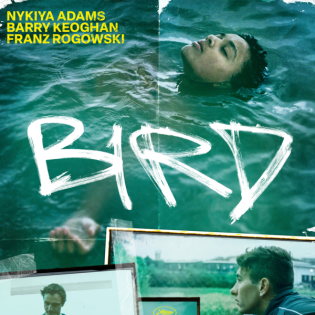 Zwischen Realität und Fantasie: Unser Mini-Podcast zu BIRD