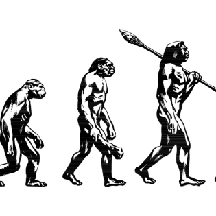 Wie wir Menschen wurden - Kochen, Nahrung und Gehirn