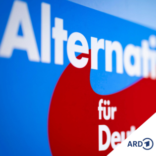 Das Nein zum "Zustrombegrenzungsgesetz" - und nun?