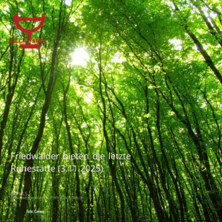 Die letzte Ruhestätte (3.11.2025)