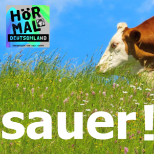 Wo die Kühe hübscher sind - Öko-Trip bayerisch