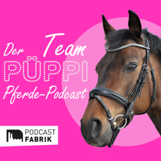 Der Sattel - das Bindeglied