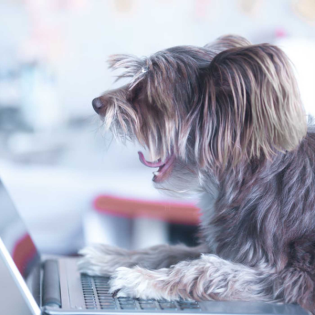 Teaser: Henriette erklärt unseren Plus-Bereich auf der Homepage