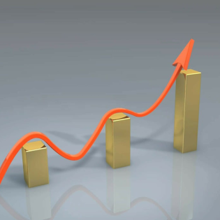 Erfolg in der Tierheilpraxis - Schnupperkurs