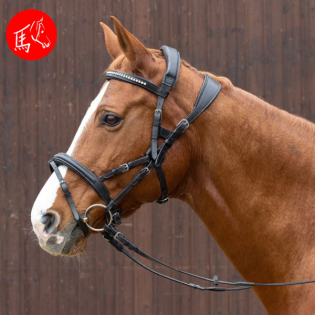 Genickschonende Halfter und Zäume