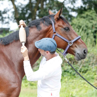 Faszien lösen mit den Original Faszienrollen