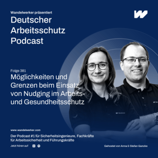 #381 Möglichkeiten und Grenzen beim Einsatz von Nudging im Arbeits- und Gesundheitsschutz