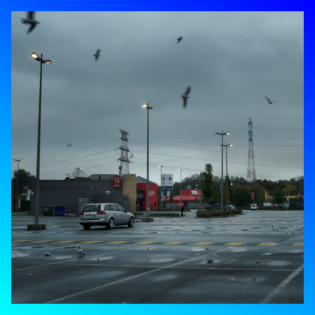 Neue Streaming-Plattform dok@home präsentiert Festival-Dokumentarfilme