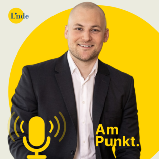 #273 - Alexander Stücklberger - Interne Untersuchungen in Unternehmen