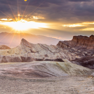 Extrem heiß? Egal! - Das können wir von dieser Rekord-Pflanze lernen