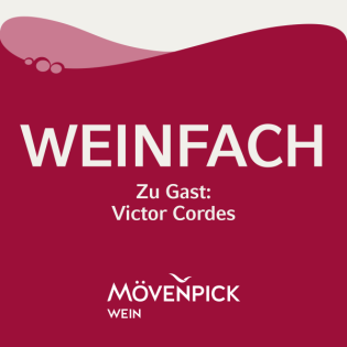 Bordeaux-Subskription: rare Weine vorab sichern