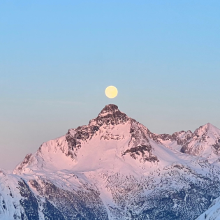 Süßigkeitenbrief zwanzigfünfeins * Zeig mir Wildnis.